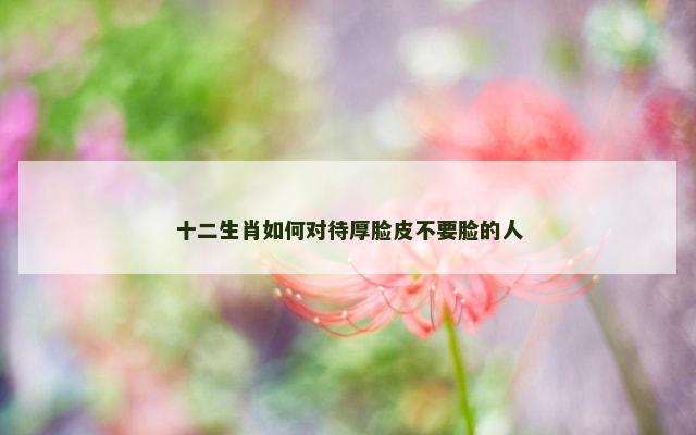 十二生肖如何对待厚脸皮不要脸的人