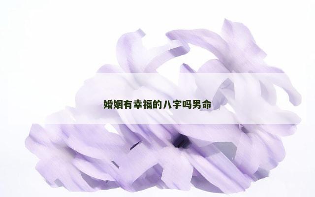 婚姻有幸福的八字吗男命