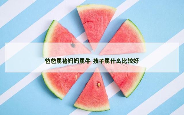 爸爸属猪妈妈属牛 孩子属什么比较好