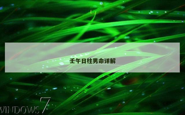 壬午日柱男命详解