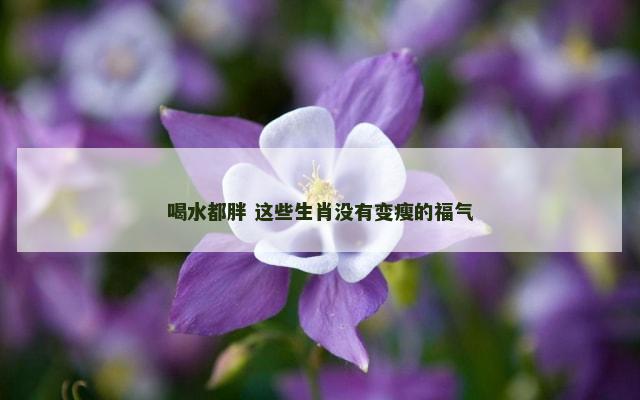 喝水都胖 这些生肖没有变瘦的福气