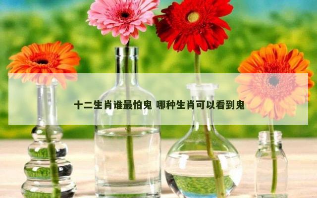 十二生肖谁最怕鬼 哪种生肖可以看到鬼