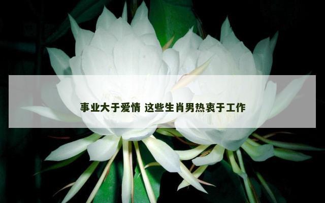 事业大于爱情 这些生肖男热衷于工作