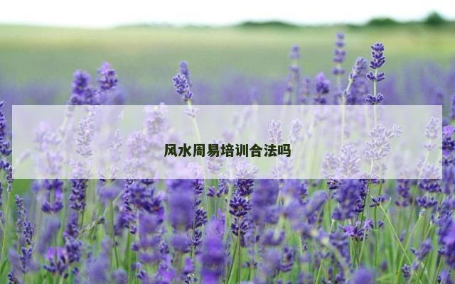 风水周易培训合法吗