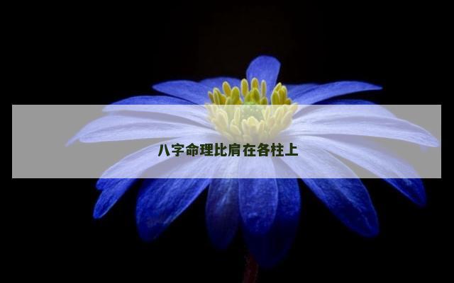 八字命理比肩在各柱上