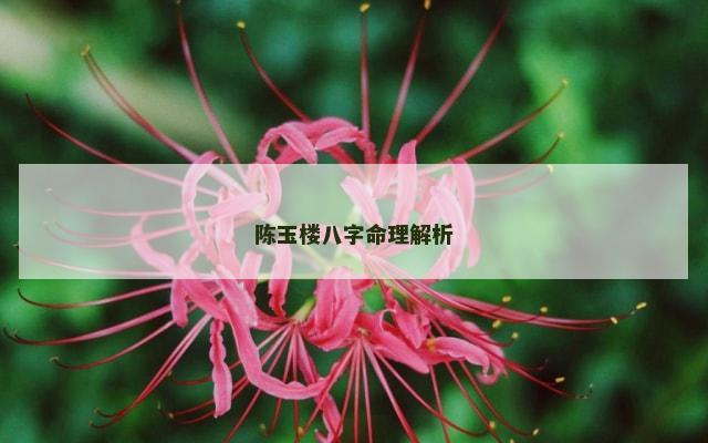 陈玉楼八字命理解析