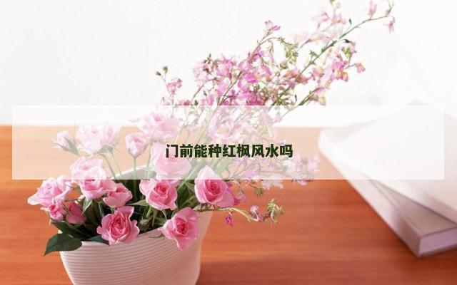门前能种红枫风水吗