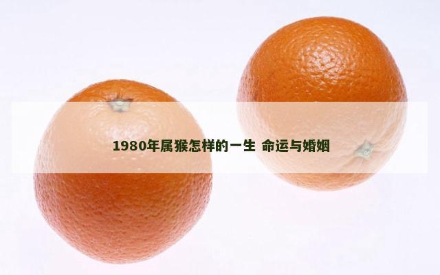 1980年属猴怎样的一生 命运与婚姻