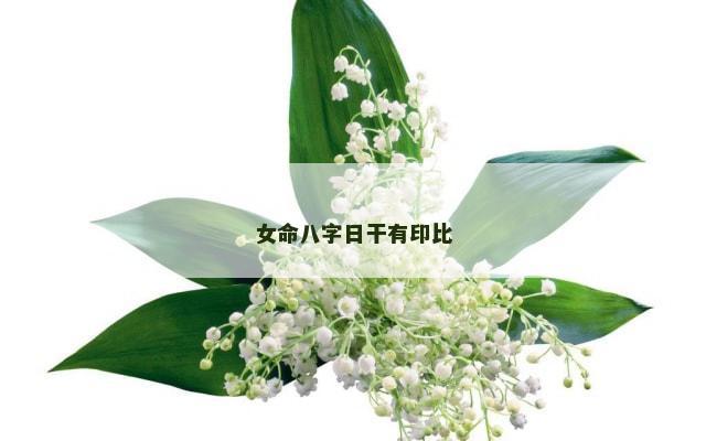 女命八字日干有印比