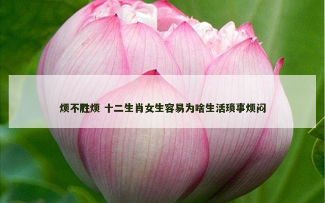 烦不胜烦 十二生肖女生容易为啥生活琐事烦闷