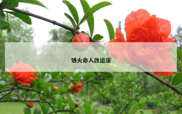 饿火命人改运法