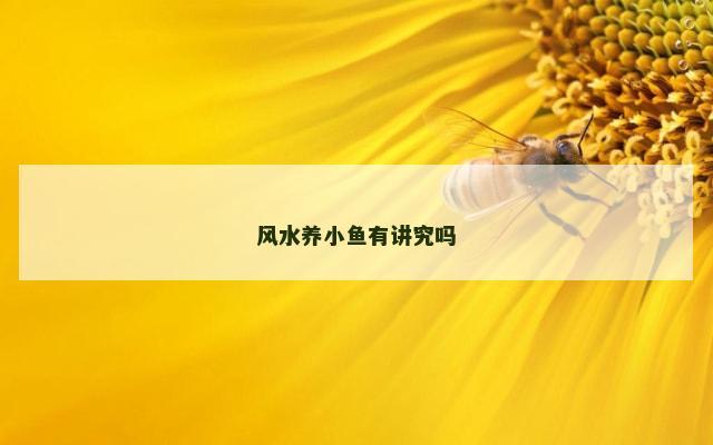 风水养小鱼有讲究吗