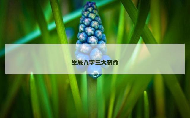 生辰八字三大奇命
