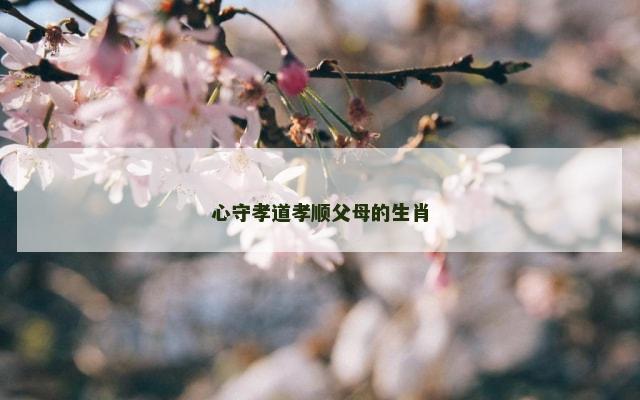 心守孝道孝顺父母的生肖