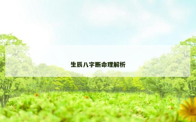 生辰八字断命理解析
