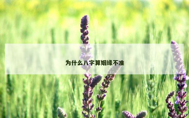 为什么八字算姻缘不准