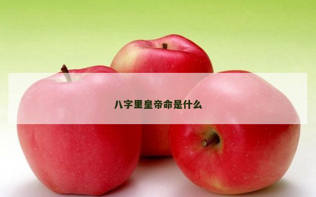 八字里皇帝命是什么