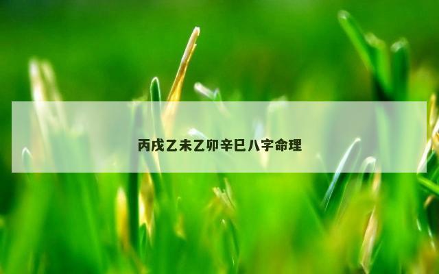丙戌乙未乙卯辛巳八字命理