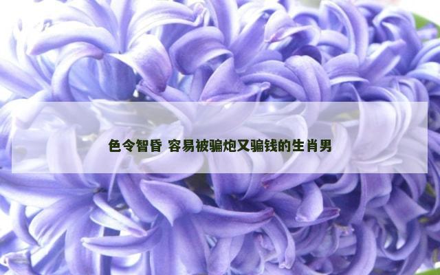 色令智昏 容易被骗炮又骗钱的生肖男