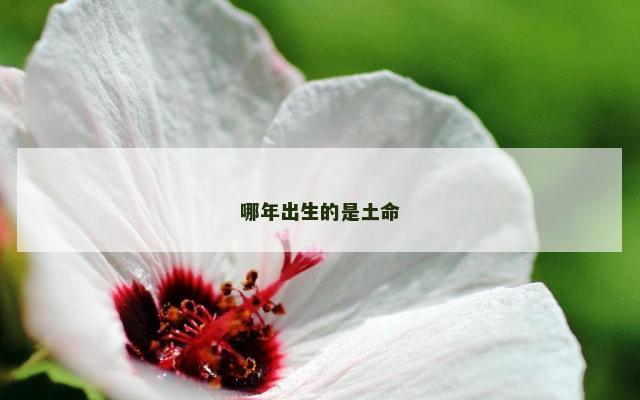 哪年出生的是土命