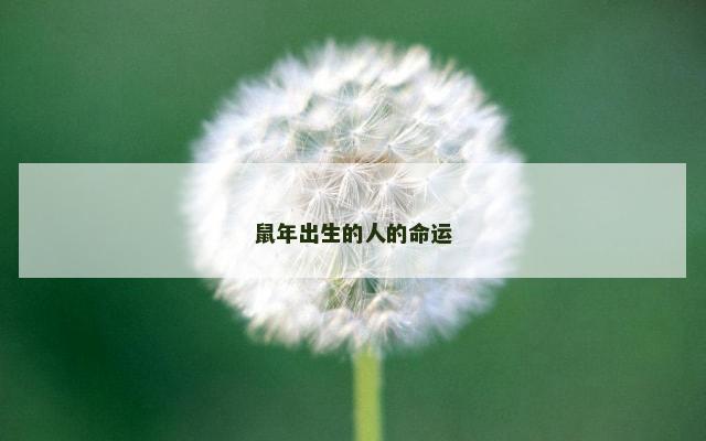 鼠年出生的人的命运