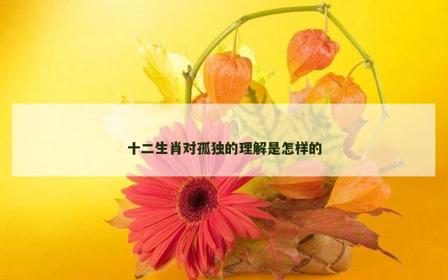 十二生肖对孤独的理解是怎样的