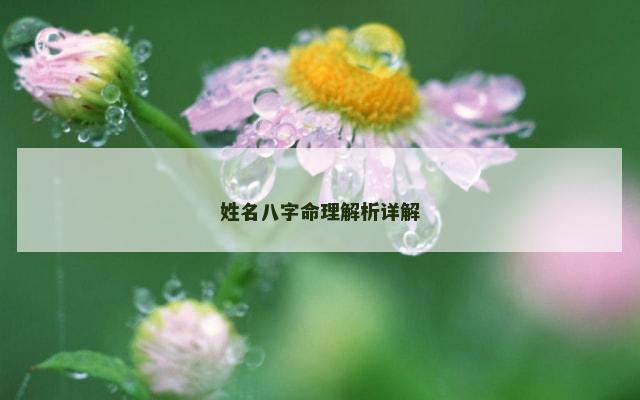 姓名八字命理解析详解