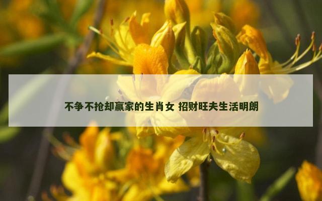 不争不抢却赢家的生肖女 招财旺夫生活明朗