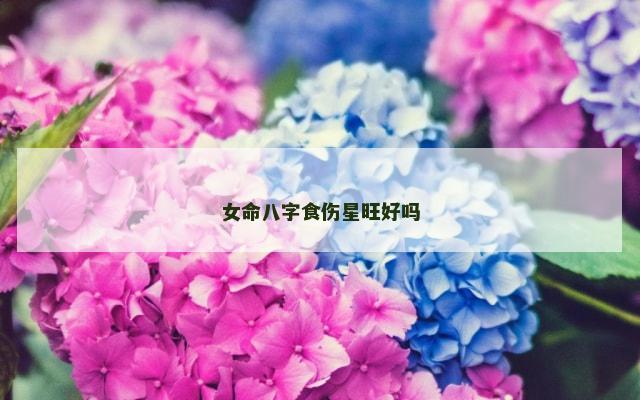 女命八字食伤星旺好吗