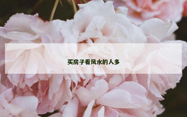 买房子看风水的人多