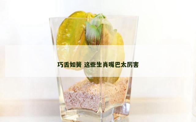巧舌如簧 这些生肖嘴巴太厉害
