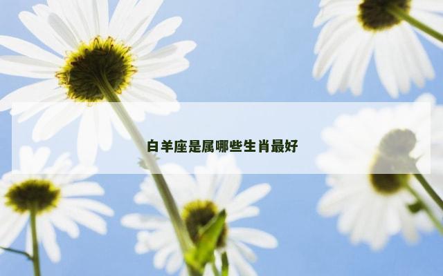 白羊座是属哪些生肖最好