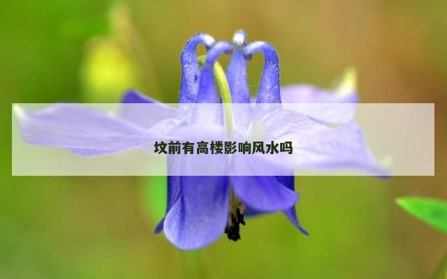 坟前有高楼影响风水吗