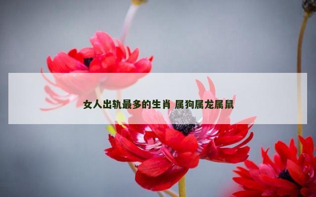 女人出轨最多的生肖 属狗属龙属鼠