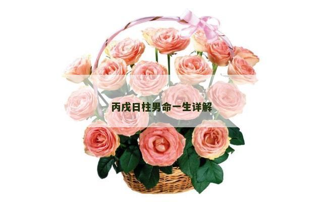 丙戌日柱男命一生详解
