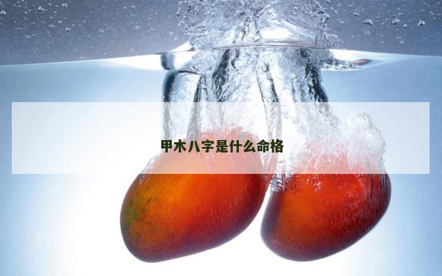 甲木八字是什么命格