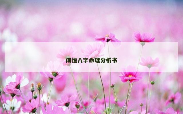 傅恒八字命理分析书