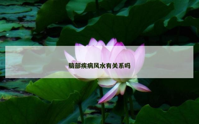脑部疾病风水有关系吗