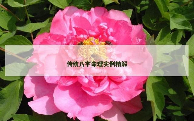 传统八字命理实例精解