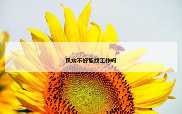 风水不好能找工作吗