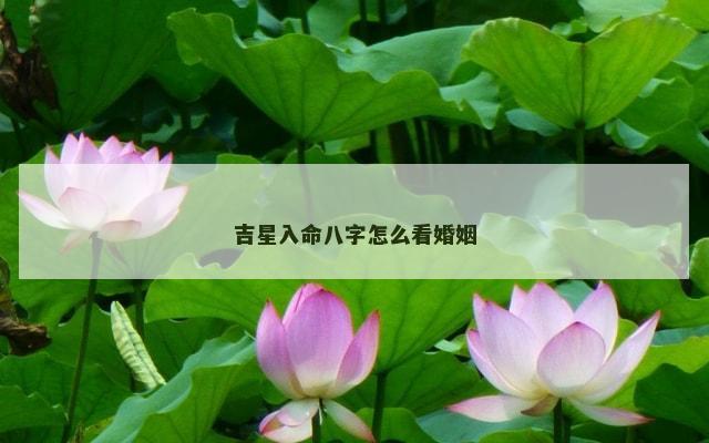 吉星入命八字怎么看婚姻