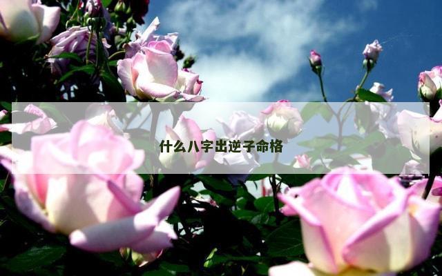 什么八字出逆子命格