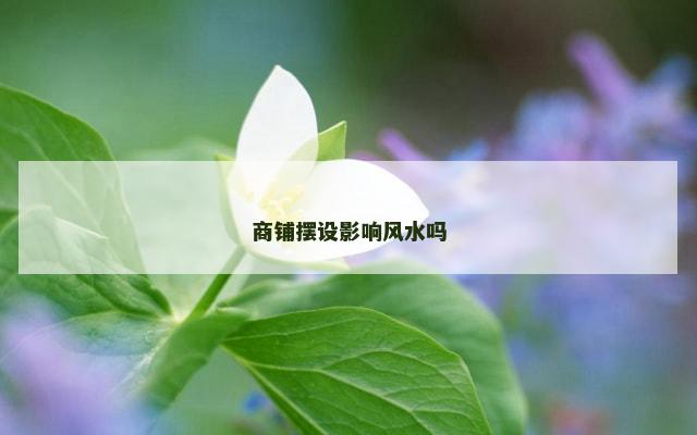 商铺摆设影响风水吗