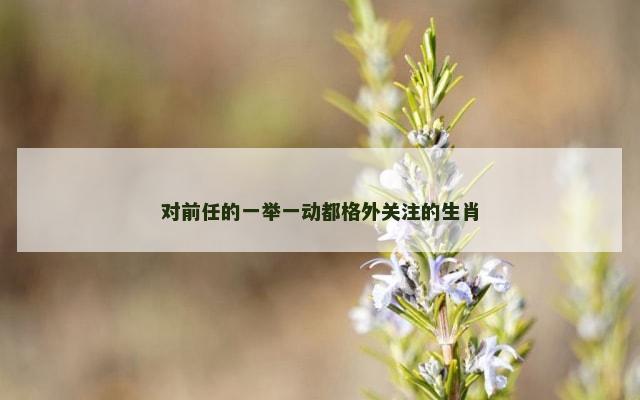 对前任的一举一动都格外关注的生肖