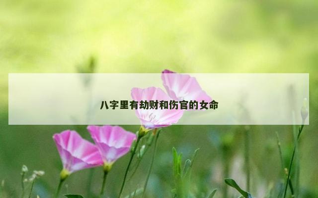 八字里有劫财和伤官的女命