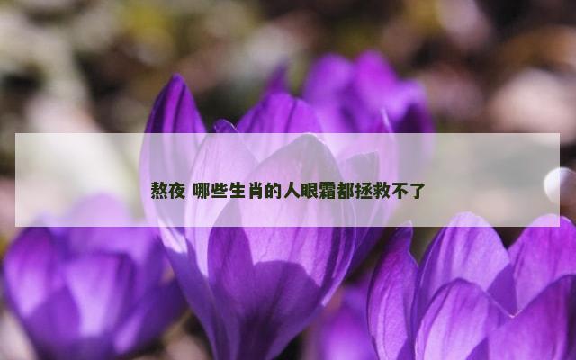 熬夜 哪些生肖的人眼霜都拯救不了