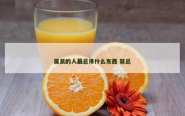 属鼠的人最忌讳什么东西 禁忌