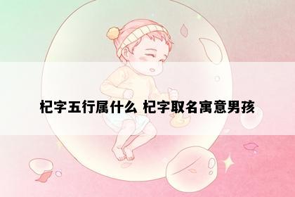 杞字五行属什么 杞字取名寓意男孩