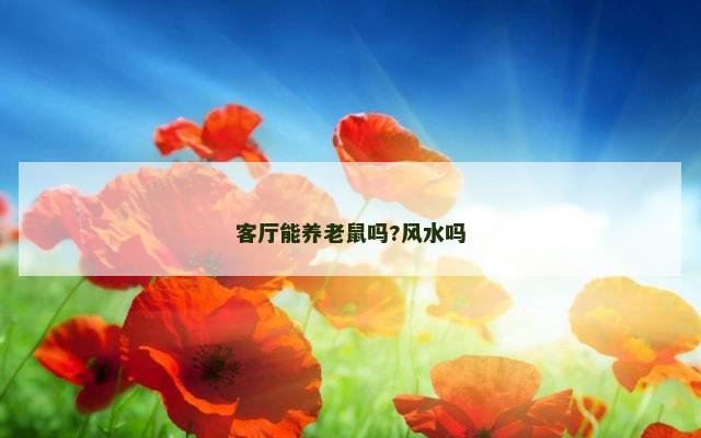 客厅能养老鼠吗?风水吗