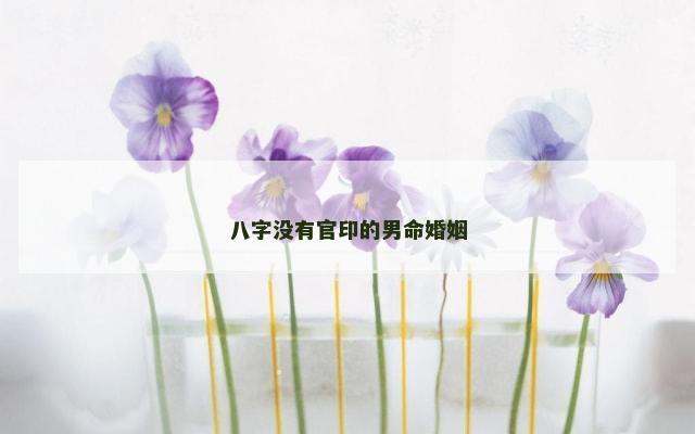 八字没有官印的男命婚姻
